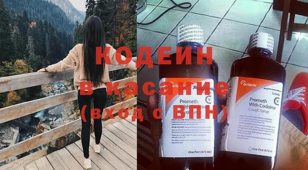 сатива Новозыбков