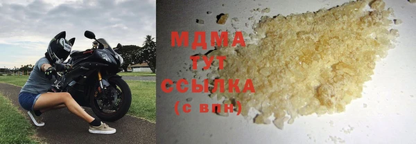 сатива Новозыбков