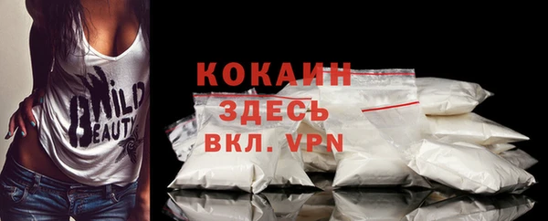 сатива Новозыбков