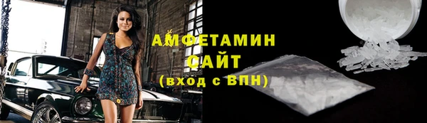 сатива Новозыбков