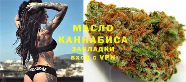 сатива Новозыбков