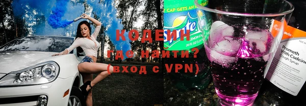 сатива Новозыбков