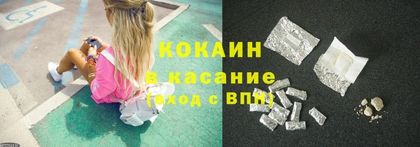 сатива Новозыбков
