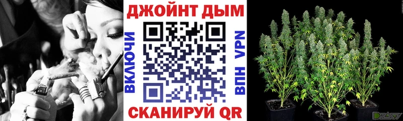 как найти закладки  Грайворон  кракен как войти  МАРИХУАНА White Widow 